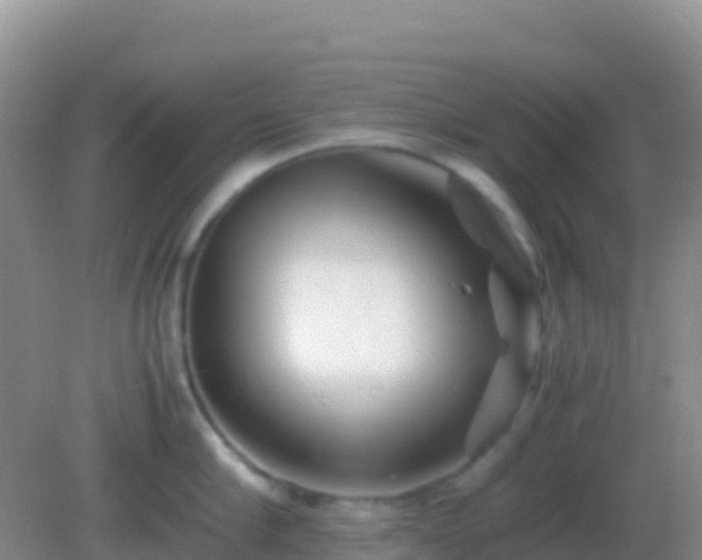 X0000082170910200701262357