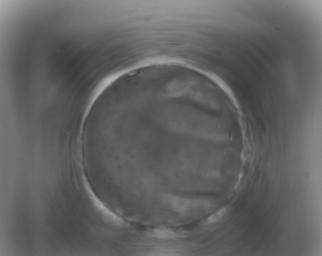 X0000082170911200701262357