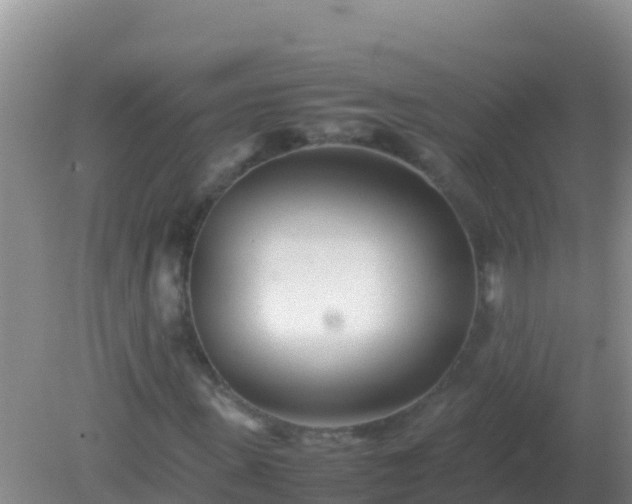 X0000082170915200701262356