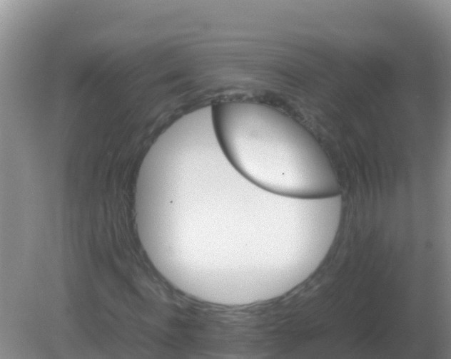 X0000082170916200701262356