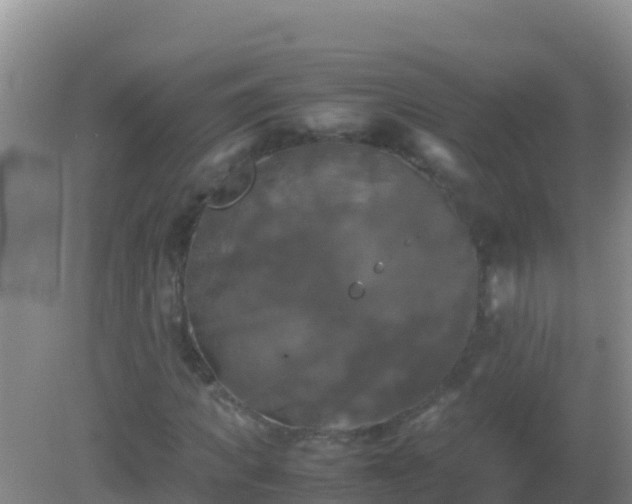 X0000082170917200701262356