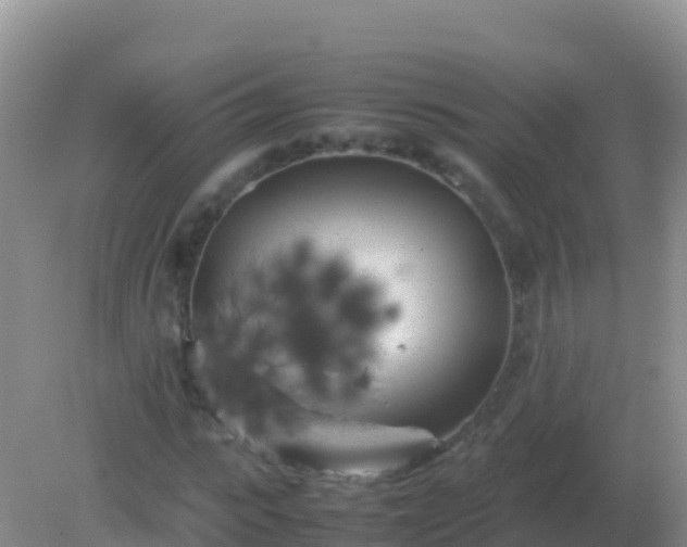 X0000082170919200701262356