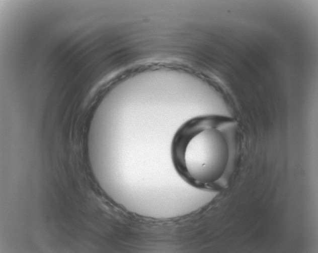 X0000082170920200701262356