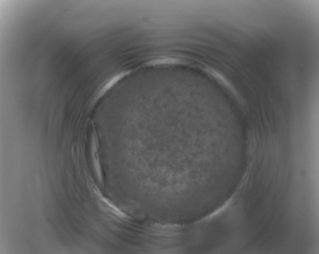 X0000082170921200701262356