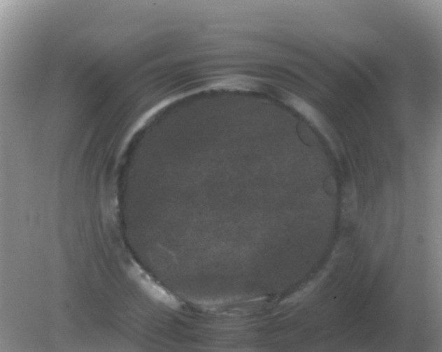 X0000082170923200701262356