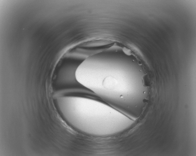 X0000082170924200701262356