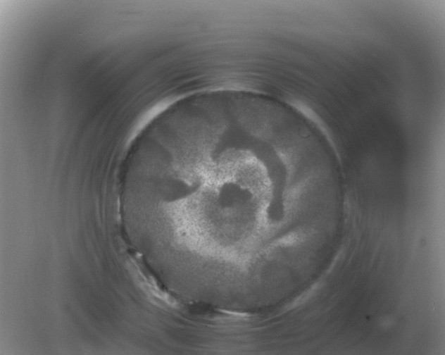 X0000082170925200701262356