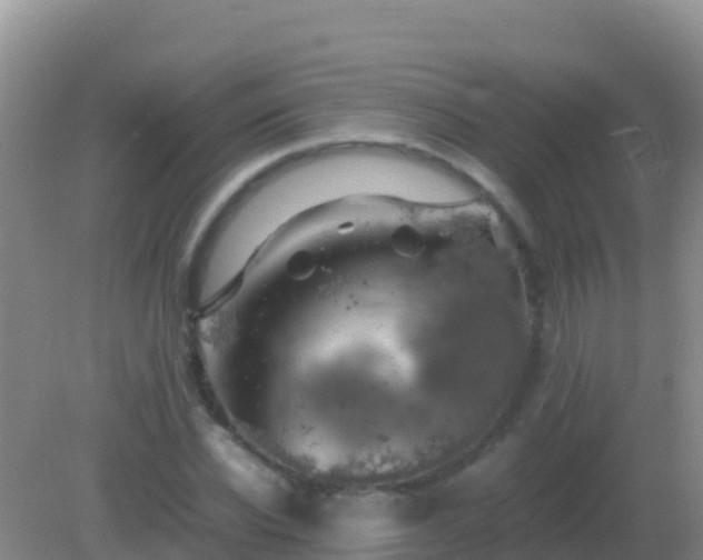 X0000082170926200701262356