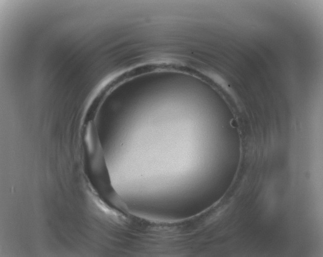 X0000082170927200701262356