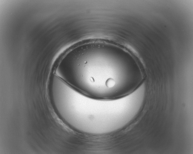 X0000082170928200701262356