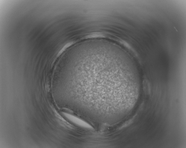 X0000082170929200701262356