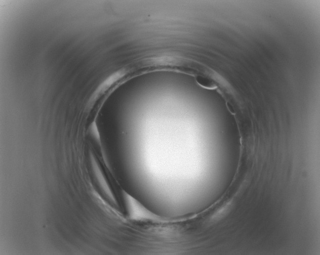 X0000082170930200701262356