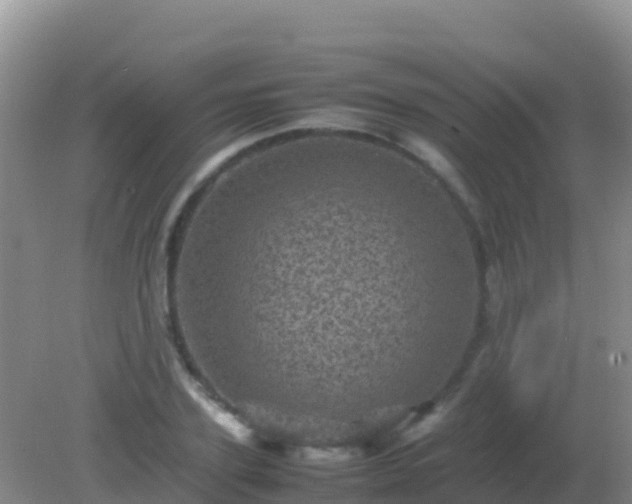 X0000082170931200701262356