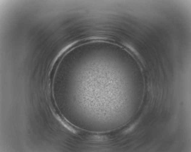 X0000082170933200701262356