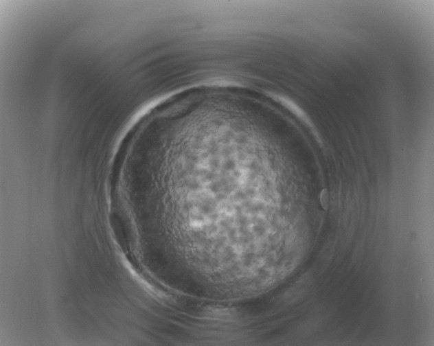 X0000082170935200701262356