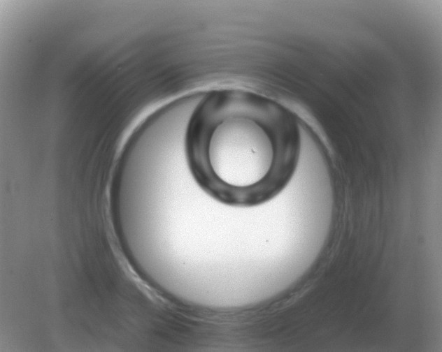 X0000082170936200701262356