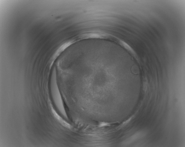 X0000082170938200701262356