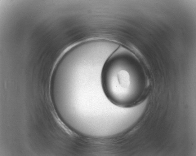 X0000082170940200701262356