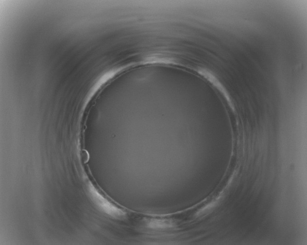 X0000082170941200701262356