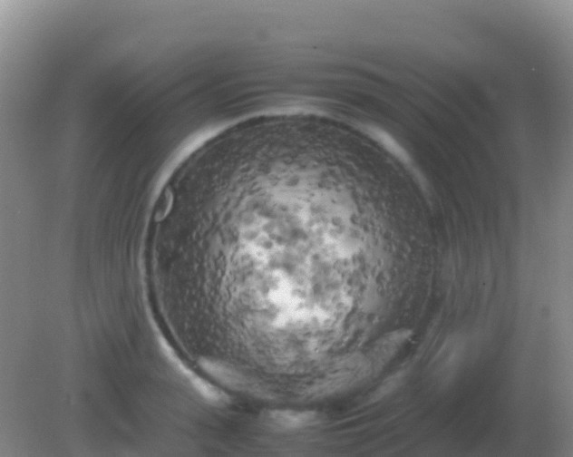 X0000082170943200701262356