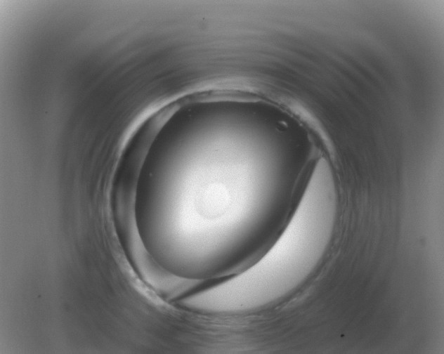 X0000082170944200701262356