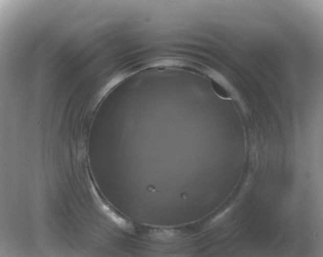 X0000082170945200701262356