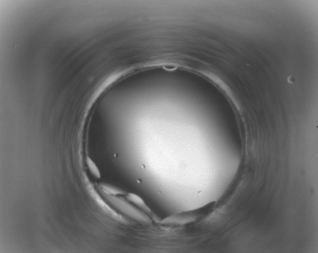 X0000082170949200701262356