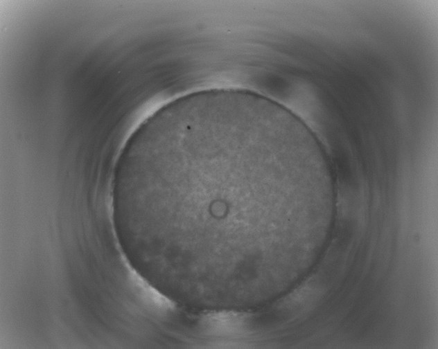 X0000082170950200701262356