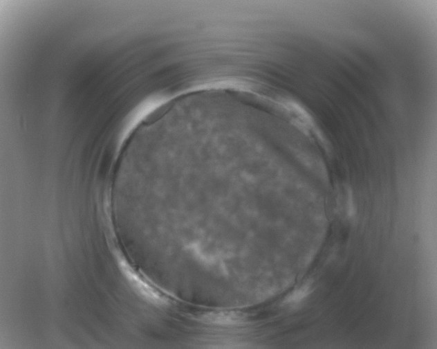 X0000082170952200701262356