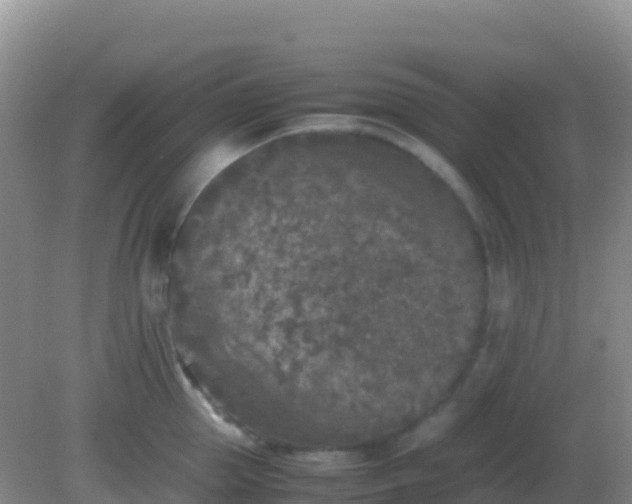 X0000082170953200701262356