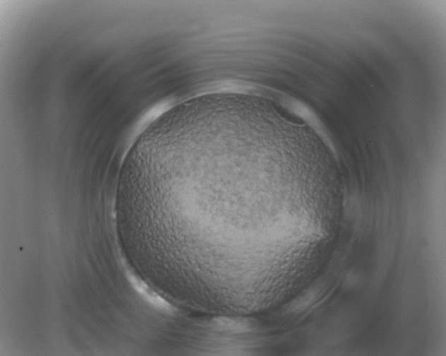 X0000082170954200701262356