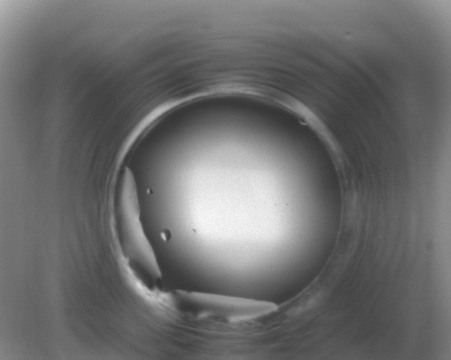 X0000082170955200701262356