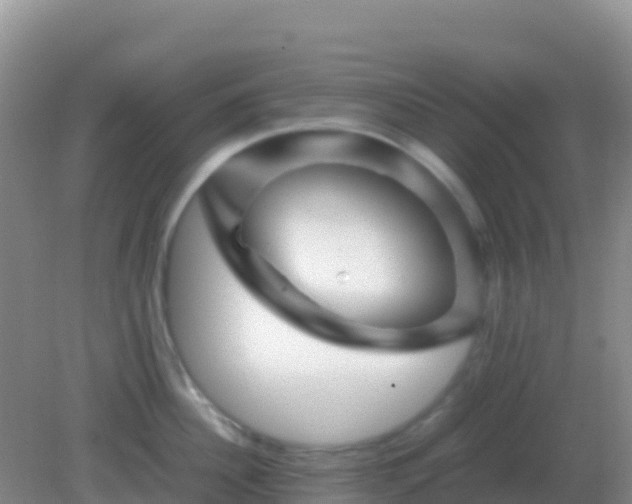 X0000082170956200701262357