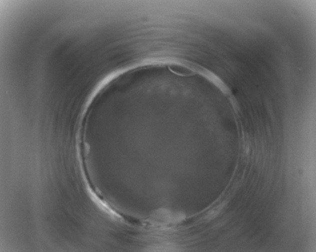 X0000082170958200701262357