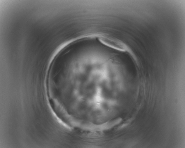 X0000082170959200701262357