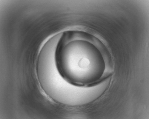 X0000082170960200701262357