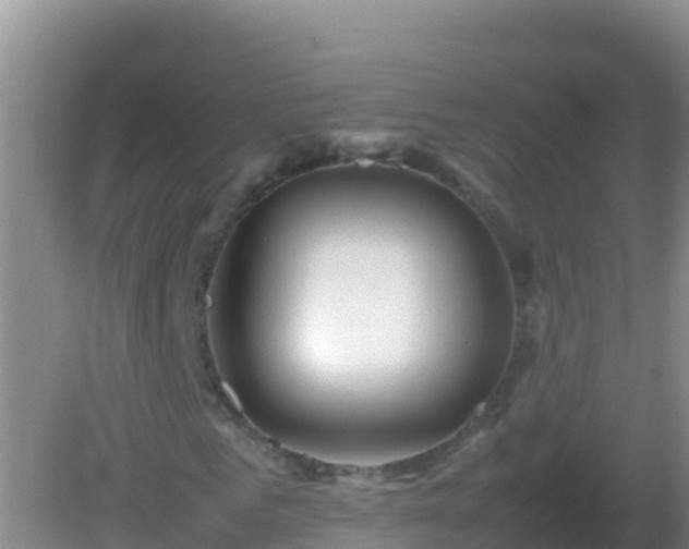 X0000082170961200701262356