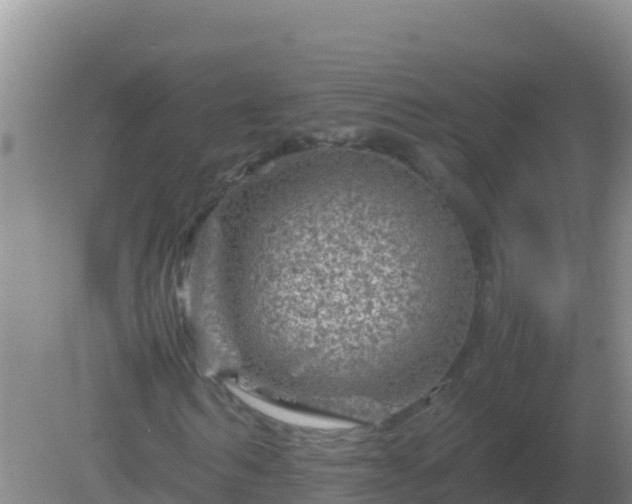 X0000082170962200701262356