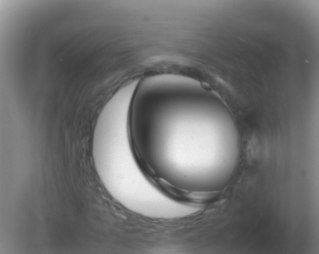 X0000082170965200701262356