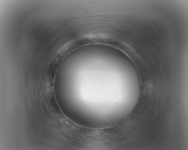 X0000082170966200701262356