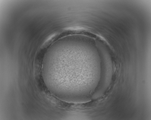 X0000082170967200701262356