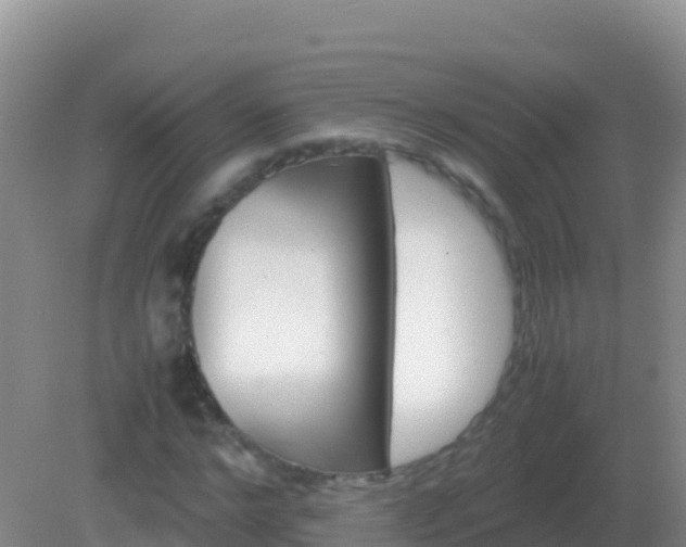 X0000082170968200701262356