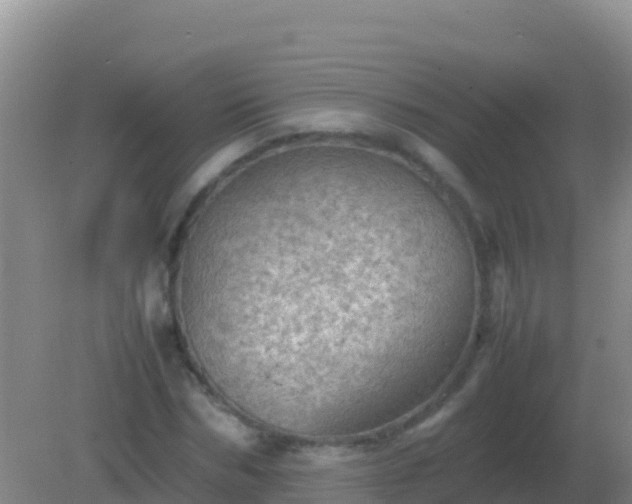 X0000082170970200701262356