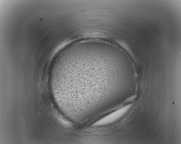 X0000082170971200701262356