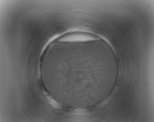 X0000082170974200701262356