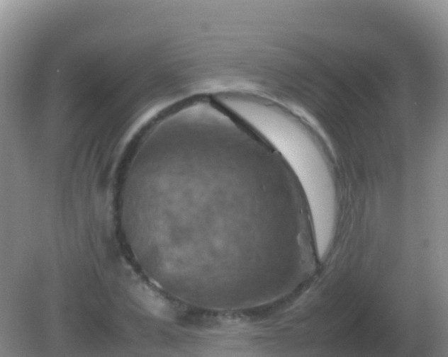 X0000082170975200701262356