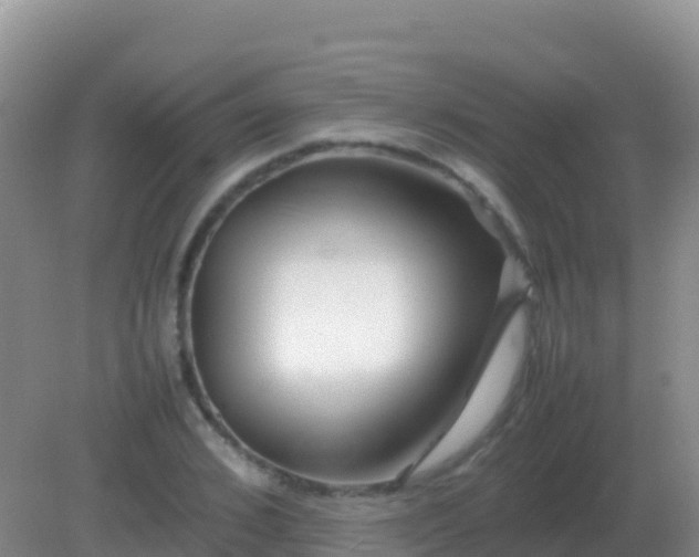 X0000082170976200701262356