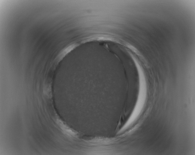 X0000082170977200701262356