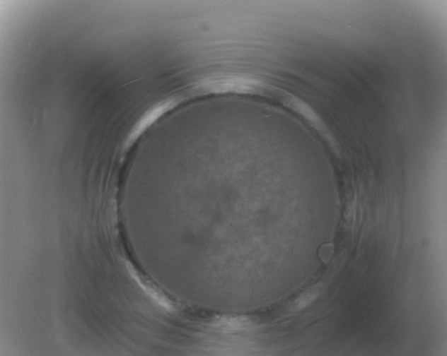 X0000082170978200701262355