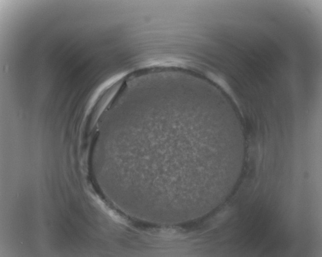 X0000082170979200701262355